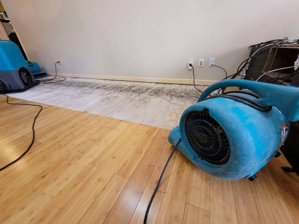 Professional Basement Flood Cleanup technician working in Somerville, MA